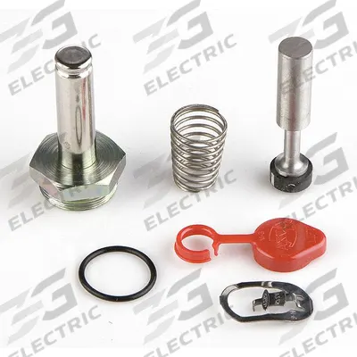 ASCO Valve Rebuild Kit (MPN 302799) - Repair Kits for Solenoid Valves