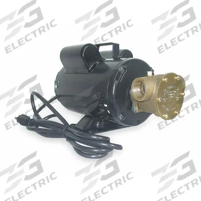 Dayton Utility Pump: 115/230V AC, 86 ft Max head, 8 ft Cord Lg, 1 in FNPT, 1 in FNPT - Electric Flexible Impeller Utility Pumps