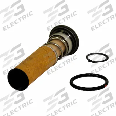 FILL-RITE Shaft Seal Kit: Shaft Seal Kit - Seals & Gaskets for Fuel & DEF Transfer Pumps