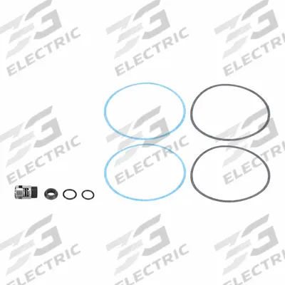 Grundfos Shaft Seal: for Vertical Multistage Centrifugal Pumps, Mfr Part # 405096 - Seal Kits