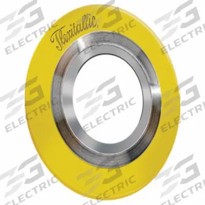 FLEXITALLIC Spiral Wound Flange Gasket: PTFE Filler, 316L Stainless Steel Winding, For 10 in Pipe - Buckle-Resistant Graphite Spiral-Wound Gaskets