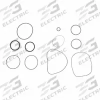 FILL-RITE Viton Seal Kit: Viton Seal Kit, Fill-Rite, (2) Square Seals/(7) O-Rings (MPN SK20VIT-V06)