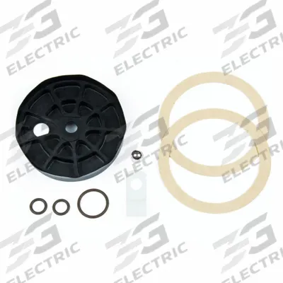 FILL-RITE Repair Kit: Mfr Part # 30KTF4919 - Pump Rebuild Kits