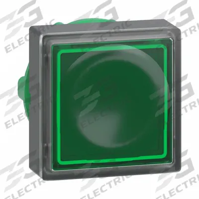 SCHNEIDER Flush Push Button: Green, 22 mm Mounting Size, Non-Metallic - Illuminated Flush-Mount Push-Button Operators