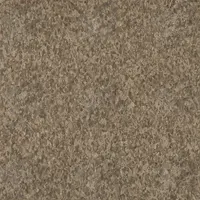 ARMSTRONG FLOORING Vinyl Floor Tiles: Linseed, Premium Excelon Crown Texture, 12 in Tile Wd, Smooth (MPN 5C236031). Key specifications — Color: Linseed; Brand: ARMSTRONG FLOORING.