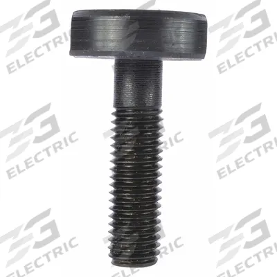 Dayton Bolt 12mm: For 13W878 (MPN TT33716019G) - Maintenance & Repair Parts