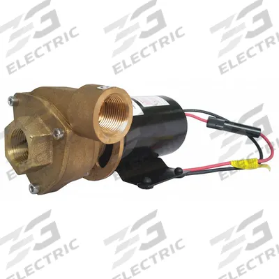 Dayton Marine Centrifugal Pump: Brass, 36V DC, 17 ft Max Head, 3/4 in - Marine Straight Centrifugal Pumps