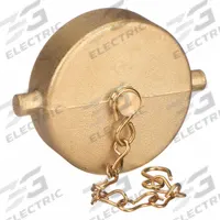 MOON AMERICAN Hydrant Cap: Cap, Brass, 1 1/2 in Compatible Pipe Size, Female, NH, Pin Lug (MPN 662-1521). Key specifications — Thread Type: NH; Tightening Method: Pin Lug.