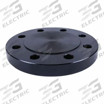 APPROVED VENDOR Metal Pipe Flange: 4 in, Blind, Steel, Raised Flange - Blind Iron Pipe Flanges