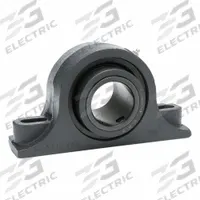 MOLINE BEARING Pillow Block Bearing: 2 in Bore, Spherical E Roller Bearing, Cast Iron, 2 Holes (MPN 29121200). Key specifications — Maximum Speed: 2,400 RPM; Mounting Bolt Size: 5/8 in; Brand: MOLINE BEARING.