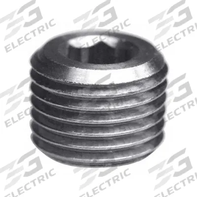 LEGRIS Plug: Hex Drive Cored Plug, 1/4 in, BSPT Threaded, Nickel-Plated Brass - Threaded Medium-Pressure Pipe Fittings