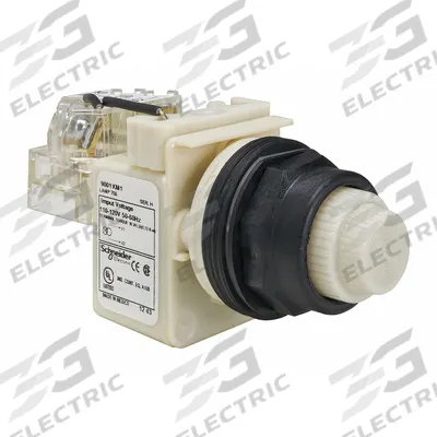 SCHNEIDER Pilot Light: 30 mm Panel Mounting Size, White, Incandescent - Incandescent Pilot-Lights