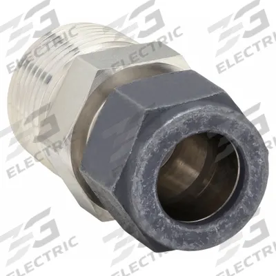 PARKER Compression Fitting Adapter: 3/16 in OD x 1/4 in Pipe Fitting Size - Single-Ferrule Stainless Steel Fittings
