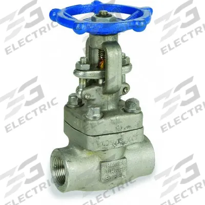 SHARPE Gate Valve: 1/2 in, 316L Stainless Steel, Rising, Socket x FNPT, 1,600 psi CWP - Rising Stem Stainless Steel Valves for Petroleum & Gas Industry