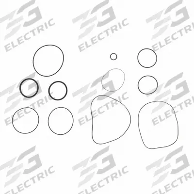 FILL-RITE Viton Seal Kit: Viton Seal Kit, Fill-Rite, (2) Square Seals/(4) O-Rings (MPN SK20VIT) - Pumps