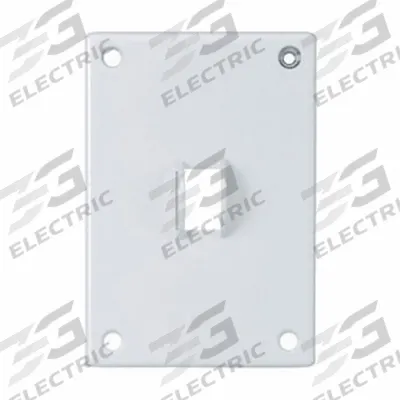 HUBBELL Wall Plate: Toggle, 1 Gang, White - General Purpose Wall Plates