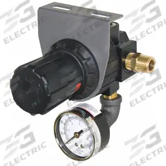 ECONOLINE Regulator and Pressure Gauge (MPN 411116-S). Key specifications — attr981894: Regulator and Pressure Gauge; attr981895: 411116-S; attr981883: ECONOLINE; attr981884: 101701G-A.