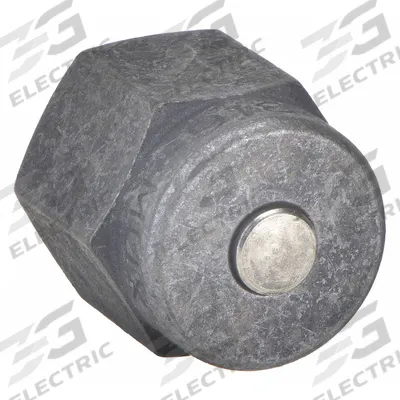 PARKER Compression Fitting Plug: 1/8 in OD Fitting Size, Compression - Single-Ferrule Stainless Steel Fittings