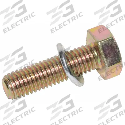 Dayton Bolt: Bolt, Stainless Steel - Hardware
