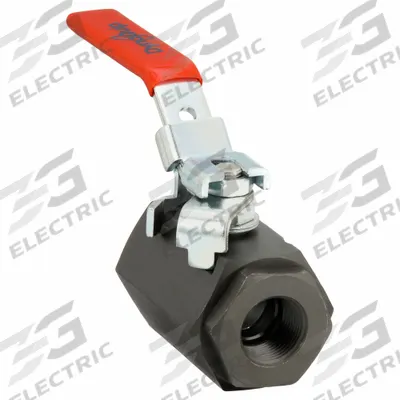DYNAQUIP CONTROLS Manual Two-Way Ball Valve: 1 in, Carbon Steel, Straight, FNPT x FNPT - Carbon Steel Ball Valves
