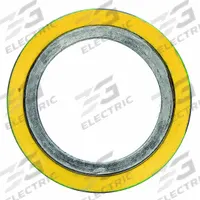 Spiral Wound Flange Gasket: Graphite Filler, 316L Stainless Steel Winding, For 4 in Pipe, 5 in ID (MPN CG). Key specifications — Brand: FLEXITALLIC.