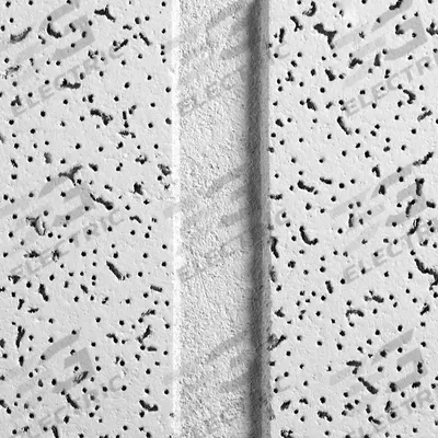 ARMSTRONG Ceiling Tile: 2758C, Cortega, 24 in x 48 in, Angled Tegular, 15/16 in Grid Size - General Purpose Tiles