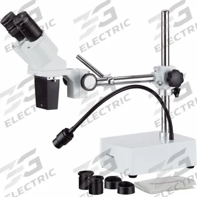 GLOBE SCIENTIFIC Microscope: Stereo, Binocular, 10X to 20X, 228.6 mm - Stereo Microscopes