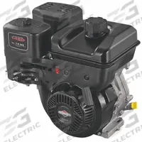 BRIGGS & STRATTON Gasoline Engine: Series XR Professional Series, 14.5 lb-ft Gross Torque, 1 in (MPN 19N132-0055-F1). Key specifications — attr980210: Yes; attr980216: Recoil; attr980222: 1 in; attr980223: Keyed 1/4"; attr987749: 19N132-0055-F1.
