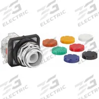 DAYTON Extended Push Button Operator: Non-Illuminated, Extended Profile, Metallic, 30 mm, 1NO/1NC (MPN 30G447). Key specifications — Brand: DAYTON; Action: Momentary; Series: Dayton; Terminal Connection: Pressure Plate; Push Button Material Type: Metallic.