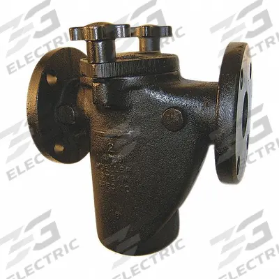MUELLER STEAM SPECIALTY Basket Strainer: Cast Iron, 0.125 in Screen Size, Single, NPT - Cast Iron Basket Strainers