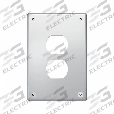 LEGRAND Wall Plate: Duplex Outlet, 1 Gang, Silver - Tamper-Resistant Wall Plates