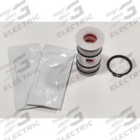 FINISH THOMPSON Air End Repair Kit: Air End Repair Kit, 109672. Key specifications — Includes: (2) Lithium Grease Packet; Product Type: Air End Repair Kit; Brand: FINISH THOMPSON; Manufacturer Part Number: 109672.