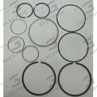 CHAMPION Ring Set,complete,10/15 Pumps: Z799, PL15A/RP15/RV15A/RV30A. Key specifications — attr948866: Z799; attr948874: Ring Set; attr948868: 1WD22; attr948869: RP15.