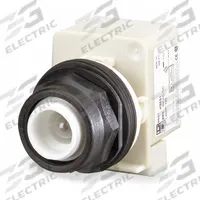 SCHNEIDER Extended Push Button: 30 mm Mounting Size, Non-Metallic, Momentary (MPN 9001SK2L1). Key specifications — Brand: SCHNEIDER; Action: Momentary; Series: 9001SK; Push Button Material Type: Non-Metallic.