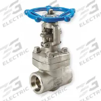 SHARPE Gate Valve: 2 in, 316L Stainless Steel, Rising, Socket x Socket, 1,120 psi CWP, Wheel (MPN 4371003940). Key specifications — Bonnet Material: 316L Stainless Steel; Wedge Material: 316 Stainless Steel; Brand: SHARPE.