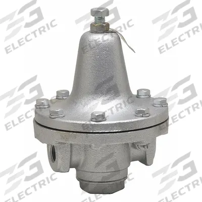 Watts Process Steam Pressure Regulator: Iron, FNPT x FNPT - Steam Pressure Regulators
