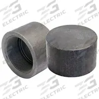 ANVIL Cap: Cap, Steel, Class 3000, 9,000 psi, 1 1/2 in, NPT Threaded (MPN 0366190403). Key specifications — Includes Pre-Applied Thread Sealant: No.