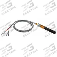 RHEEM Thermopile: SP10100B
