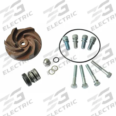 Dayton Repair Kit: Mfr Part # 21TG39 - Seal Kits & Gaskets for Straight Centrifugal Pumps