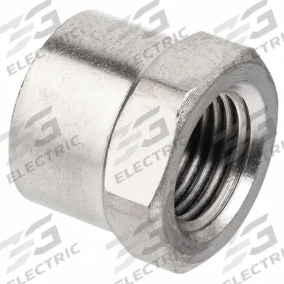 APPROVED VENDOR Cap: Hex Drive Cap, 1/4 in, NPTF Threaded, Class 1000, 1,000 psi @ 72°F - Nickel-Plated Threaded High-Pressure Pipe Fittings