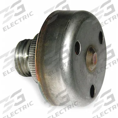 BELL & GOSSETT Steam Trap Element: For Bell & Gossett (MPN 405629) - Thermostatic Replacement Elements