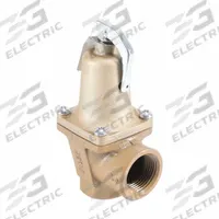 WATTS Pressure Relief Valve: FNPTF x FNPTF, 3/4 in x 1 in, Iron, 50 psi Max. Op Pressure (MPN F382392). Key specifications — Brand: WATTS.