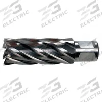 SLUGGER BY FEIN Annular Cutter: 25 mm Cutter Dia, 3 in Max Cutting Dp, Bright, High Speed Steel (MPN 63134250003). Key specifications — attr253884: No; attr253885: Bright; attr253886: High Speed Steel; attr253887: Weldon Flat; attr253888: Metric; attr277149: SLUGGER BY FEIN.