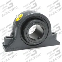 MOLINE BEARING Pillow Block Bearing: 3 in Bore, Fixed, Cast Iron, 3 1/4 in Shaft Ht, 2 Holes (MPN 19221300). Key specifications — Maximum Speed: 1,600 RPM; Mounting Bolt Size: 3/4 in; Brand: MOLINE BEARING.