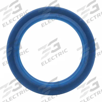 Dayton Ring/Seal Kit: For - Dayton Platform Lift Truck Parts