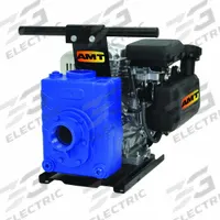 AMT PUMPS Engine Driven Pump: 5 hp, 2 in FNPT, 2 in FNPT, 170 gpm Flow Rate @ 20 Ft. of Head, CRX (MPN 4229-95). Key specifications — Volute Material: Cast Iron; Ignition Type: Recoil-Start; Brand: AMT PUMPS; Kit Components: Carry Handle.