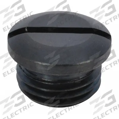 SPEEDAIRE Valve Cap: Mfr Part # TTRB44204K06G, Valve Cap - Air Tool Replacement Parts