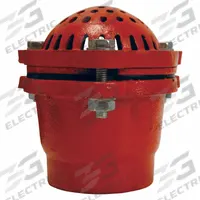 DIXON VALVE & COUPLING Foot Valve: Cast Iron, 2 in Pipe Size, Pumps, NPT (MPN DFVS25). Key specifications — Brand: DIXON VALVE & COUPLING.