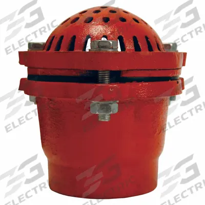DIXON VALVE & COUPLING Foot Valve: Cast Iron, 2 in Pipe Size, Pumps - Foot Valves