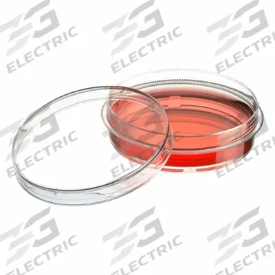 GLOBE SCIENTIFIC Tissue Culture Well Plate: Sterile, 7 mL, 60 mm Dia, RNase/DNase Free - Cell Culture Plates